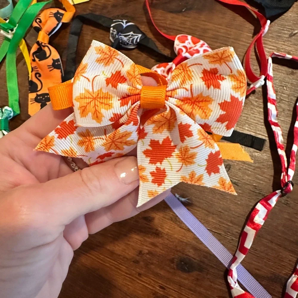 Bundle of handmade cat neckties and bows